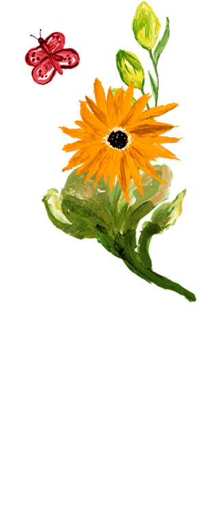 <img data-lazyloaded=